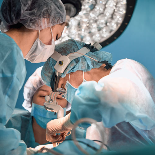 Perro al que se le está realizando una ecografía en una consulta veterinaria