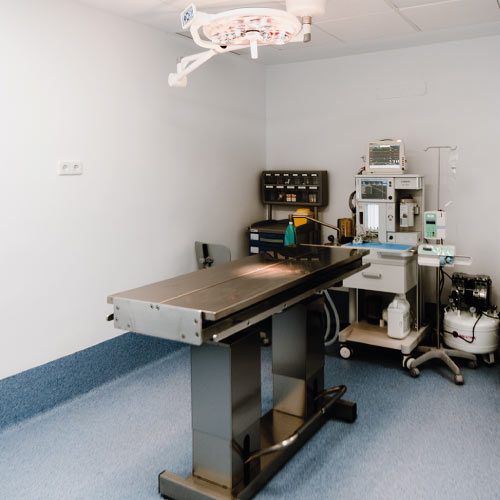 Hospital Veterinario Tres Cantos