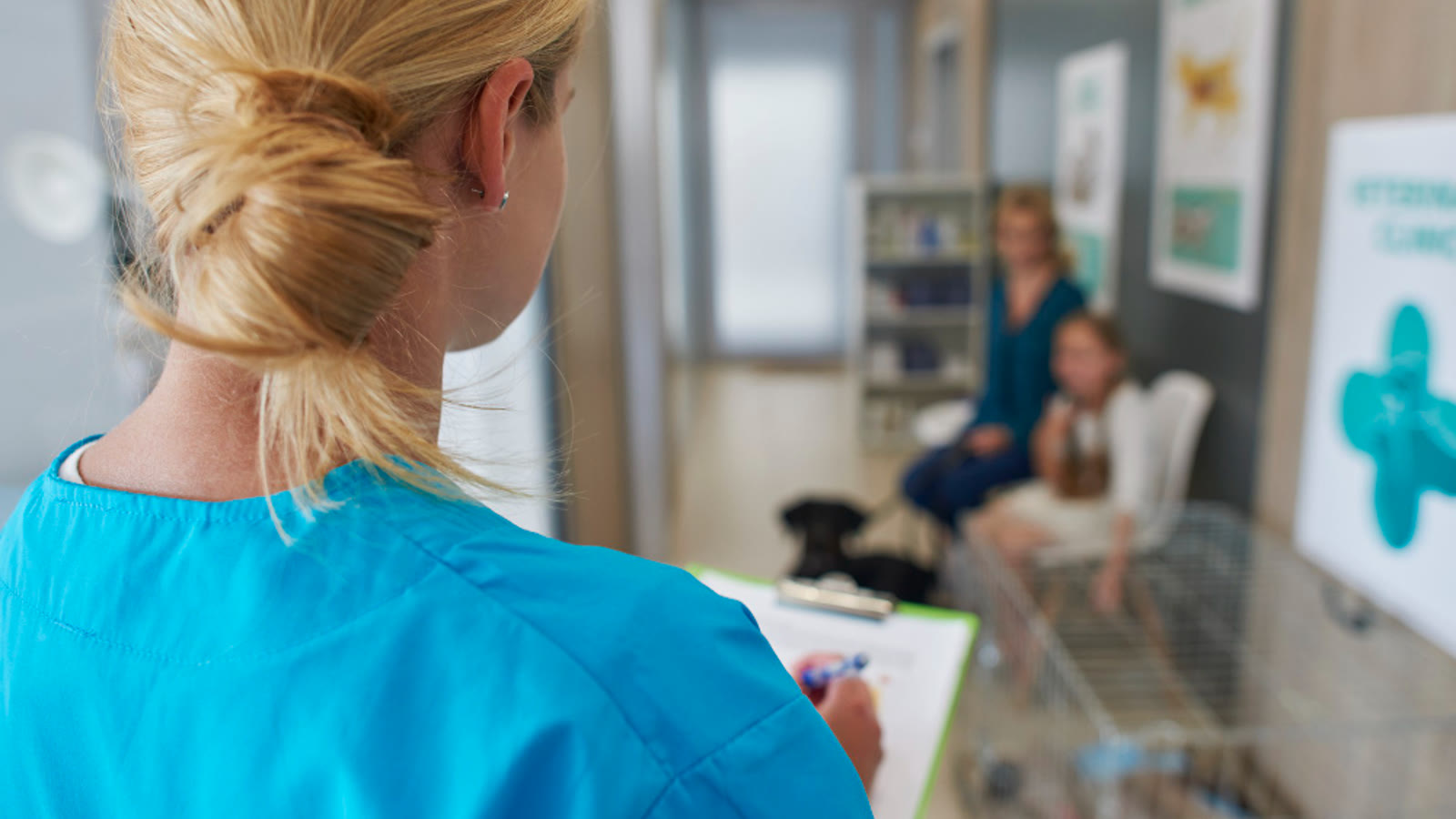 Veterinario atendiendo a una mascota durante una consulta
